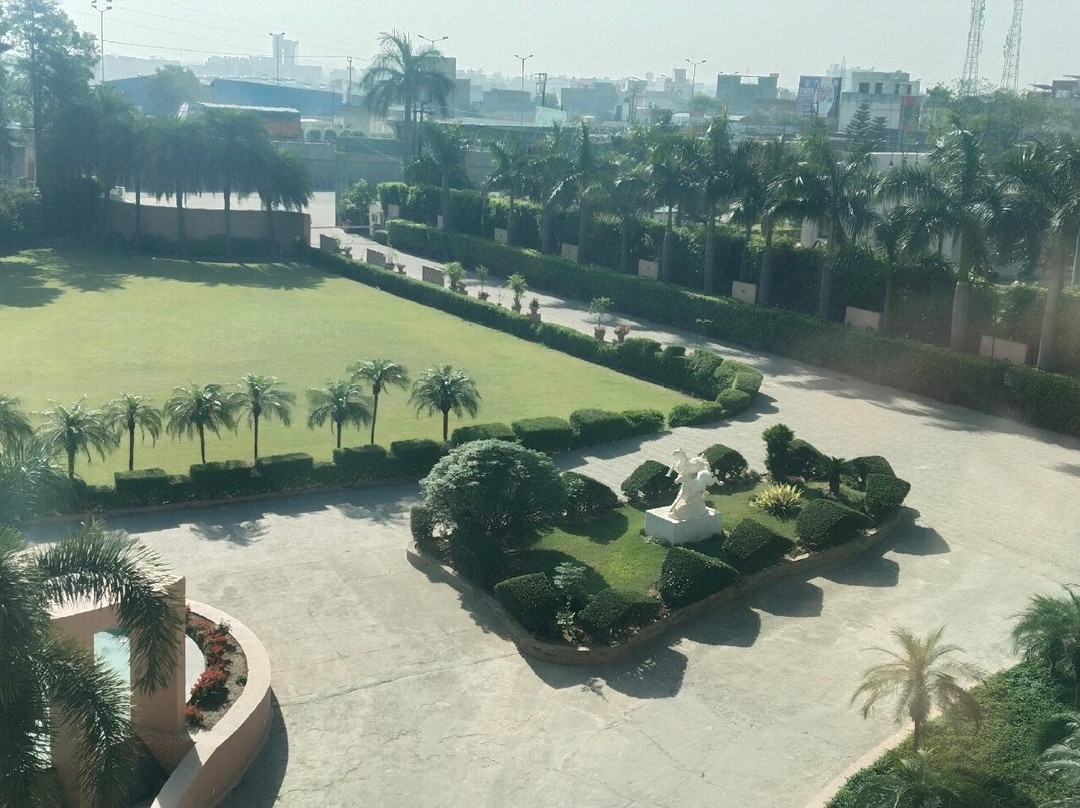 高德温梅鲁特主图