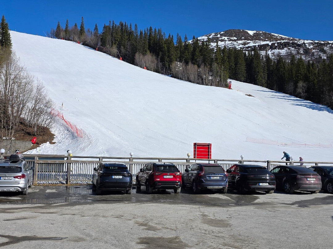 菲耶加尔登滑雪进出酒店主图