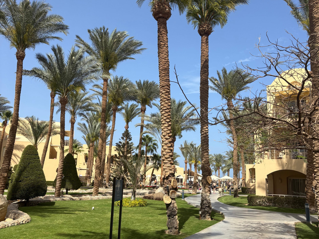 贾兹马卡迪纳主图