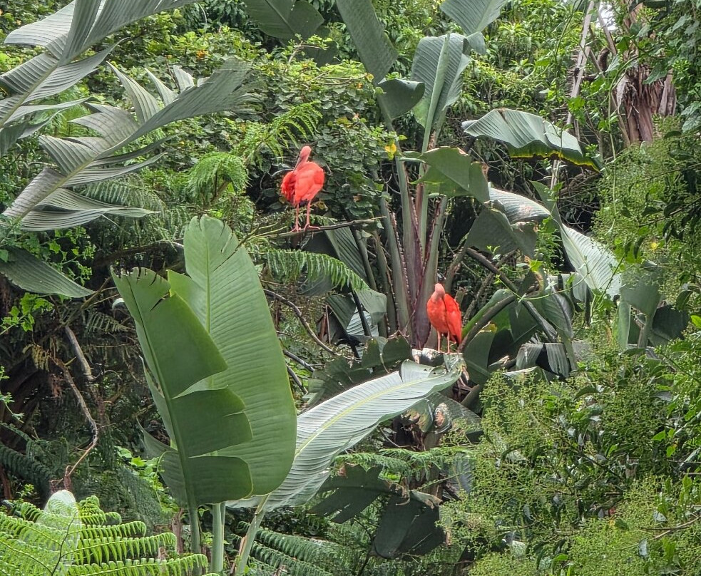 Birds of Eden-The Crags必去景点