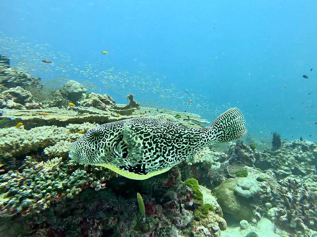 Me Diving Khao Lak