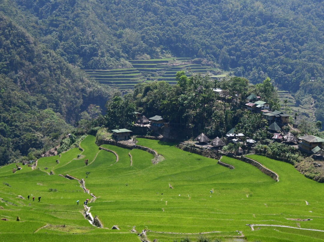 菲律宾水稻梯田-Banaue必去景点