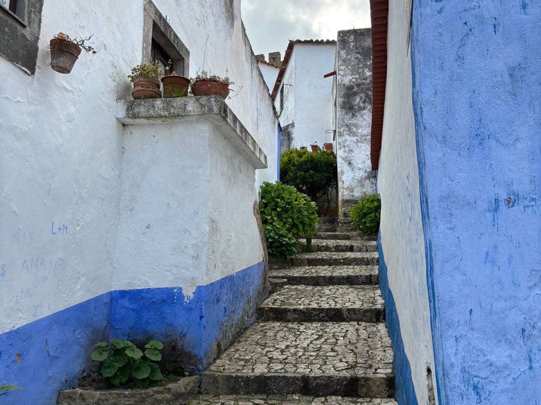 Rua Direita-奥比都斯必去景点