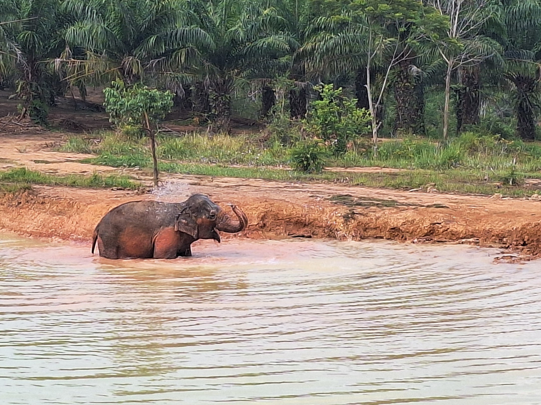 Following Giants - Krabi-Khlong Hin必去景点