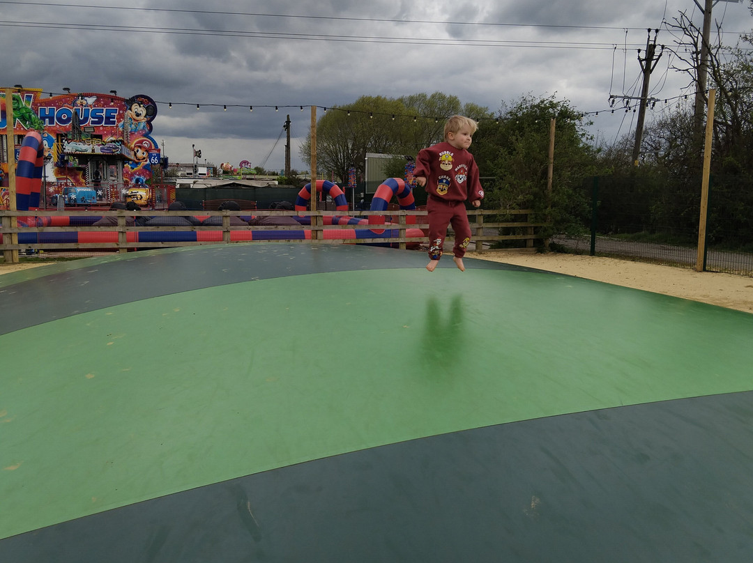 The Web Adventure Park-Wigginton必去景点