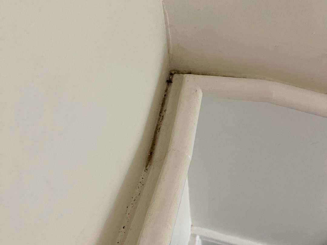 Butlin's Skegness Resort主图