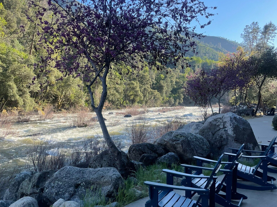 优胜美地景观小屋主图