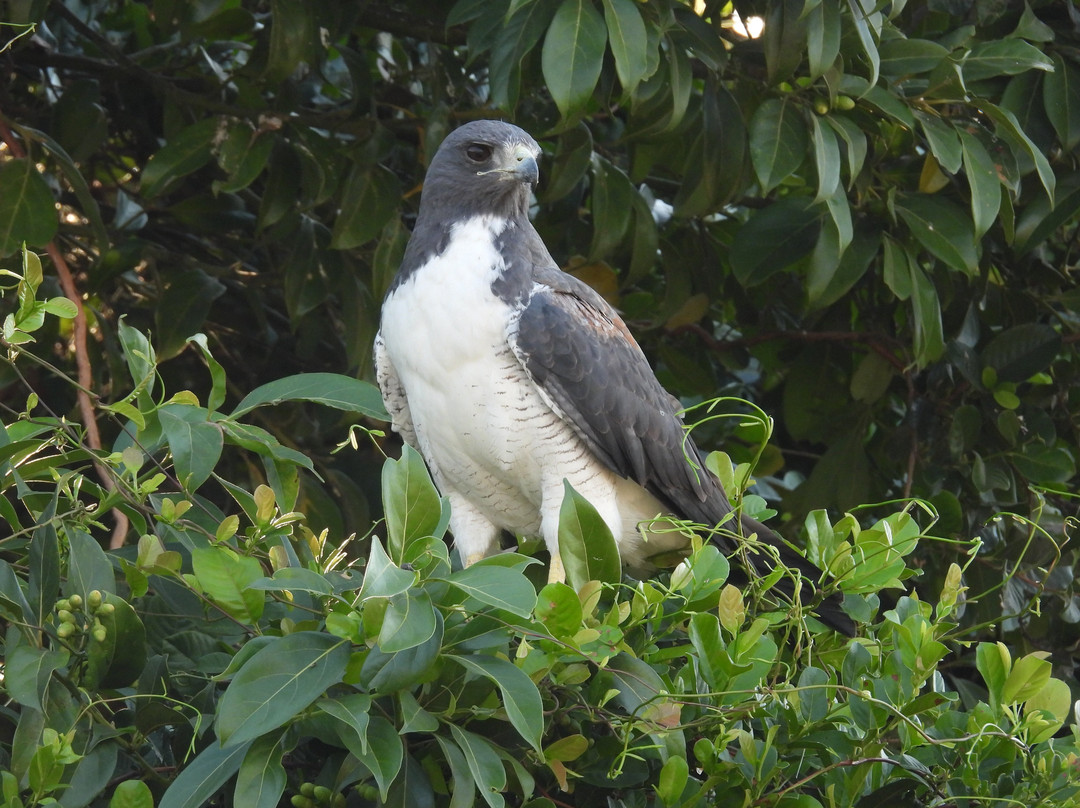 Wild Llanos Tours and Safaris-Yopal必去景点