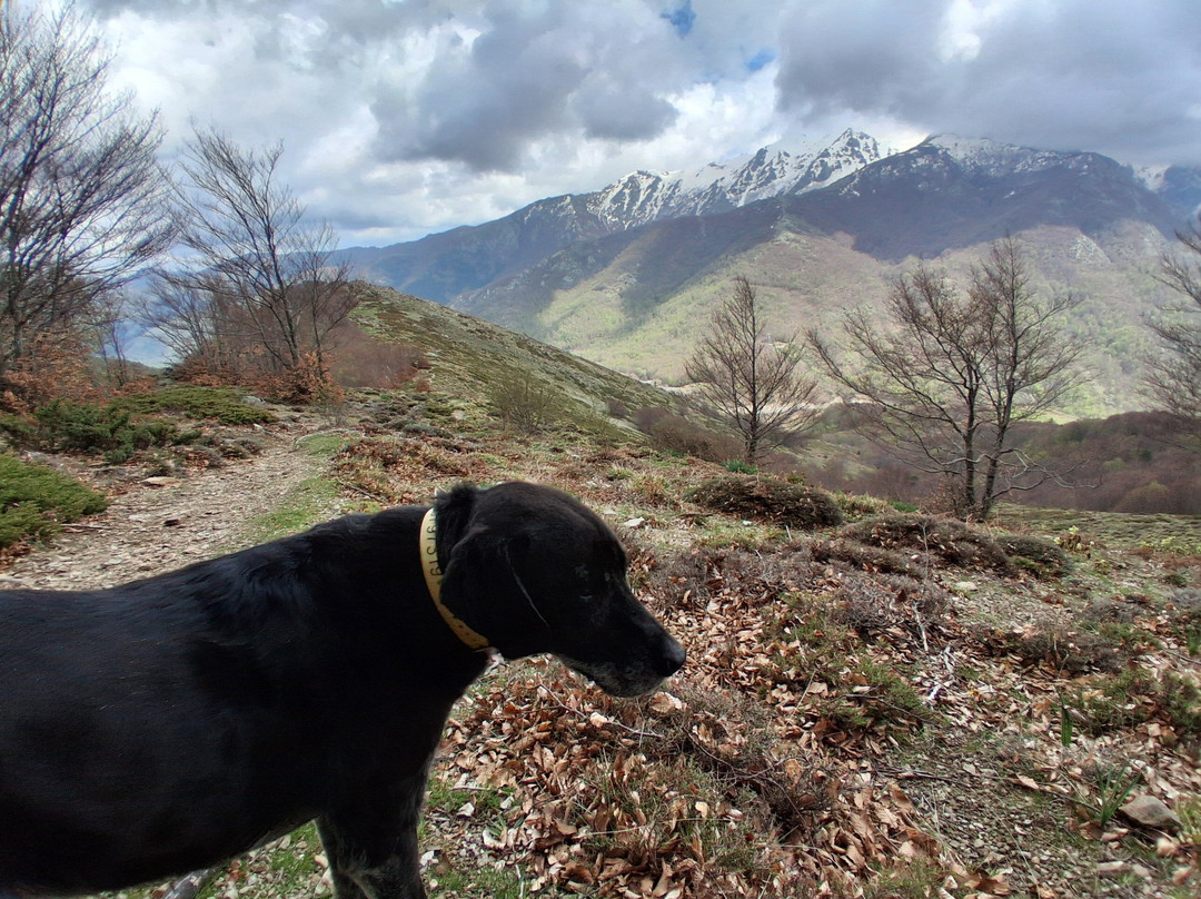 Corsica Natura-Bocognano必去景点