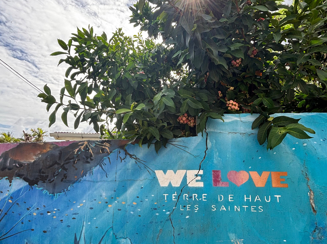 Mawaly Excursions-Terre-de-Haut必去景点