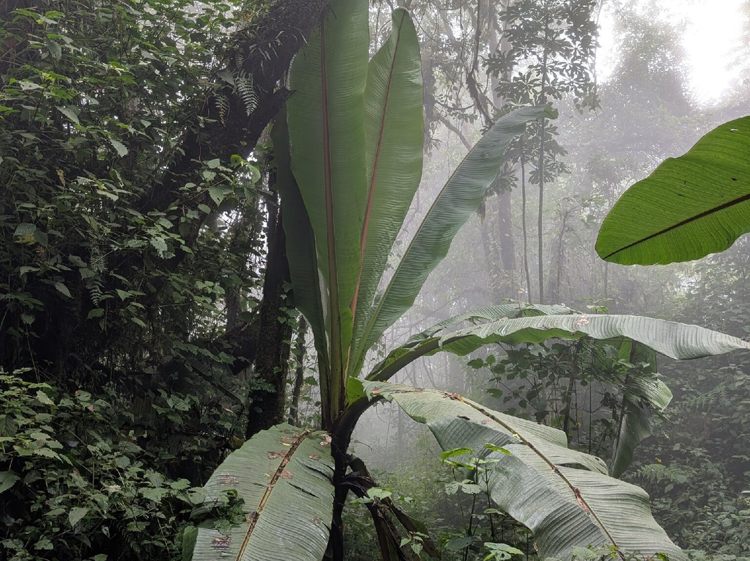 Chikanda Safaris & Adventure-Uyole必去景点