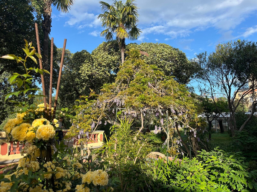 Villa del Parco B&B主图