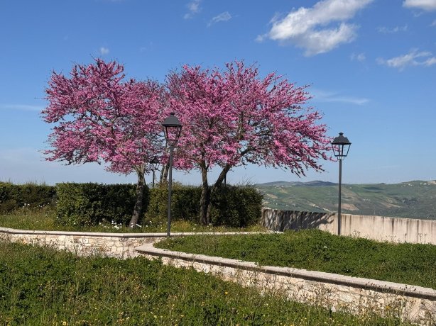 Borgo Sciugolo-旅行者