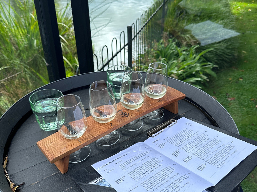 Whitehaven Wines Cellar Door-布伦海姆必去景点