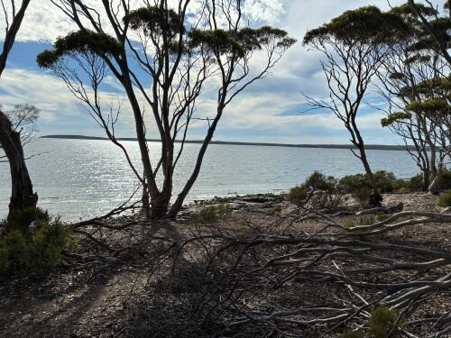 Lincoln National Park-Port Lincoln必去景点