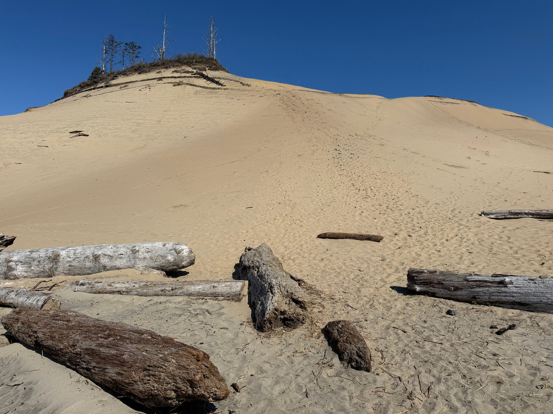 Cape Kiwanda State Natural Area-太平洋城必去景点