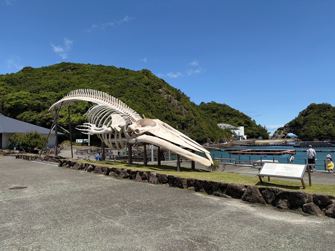 Taiji Whale Museum-太地町必去景点