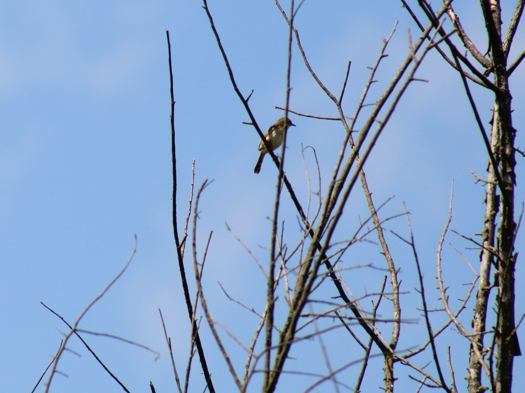 Domaine des Oiseaux-Mazeres必去景点