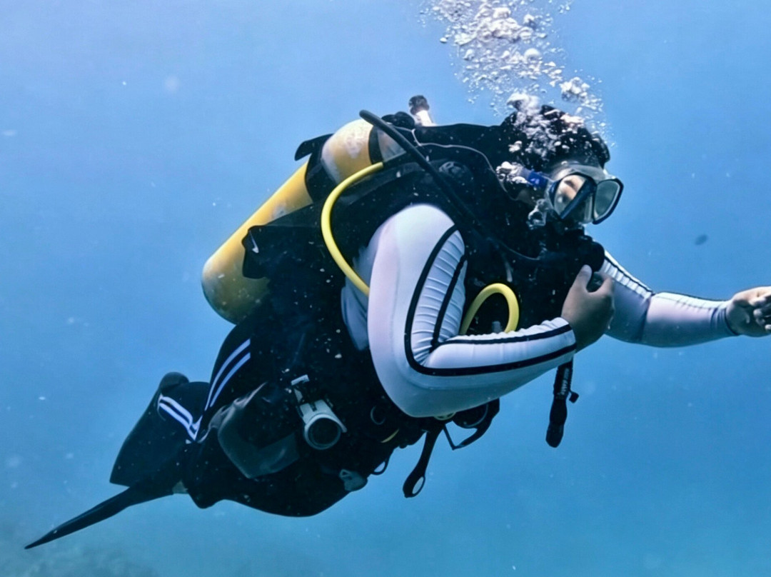 Addu Scuba Dive Maldives-阿斯杜太阳岛必去景点