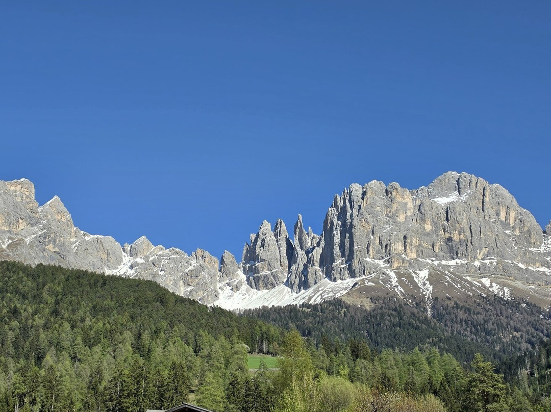 Cyprianerhof Dolomit Resort主图