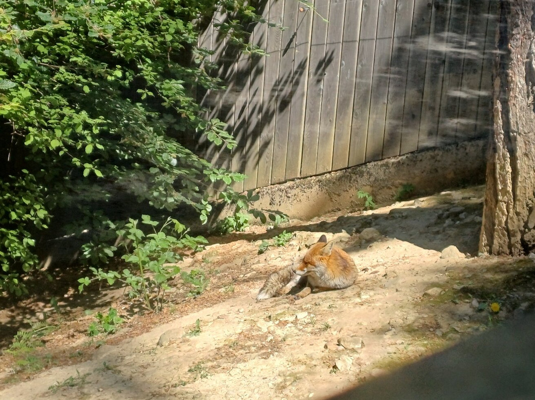 BELPARK- Parco Faunistico di Spormaggiore-Spormaggiore必去景点