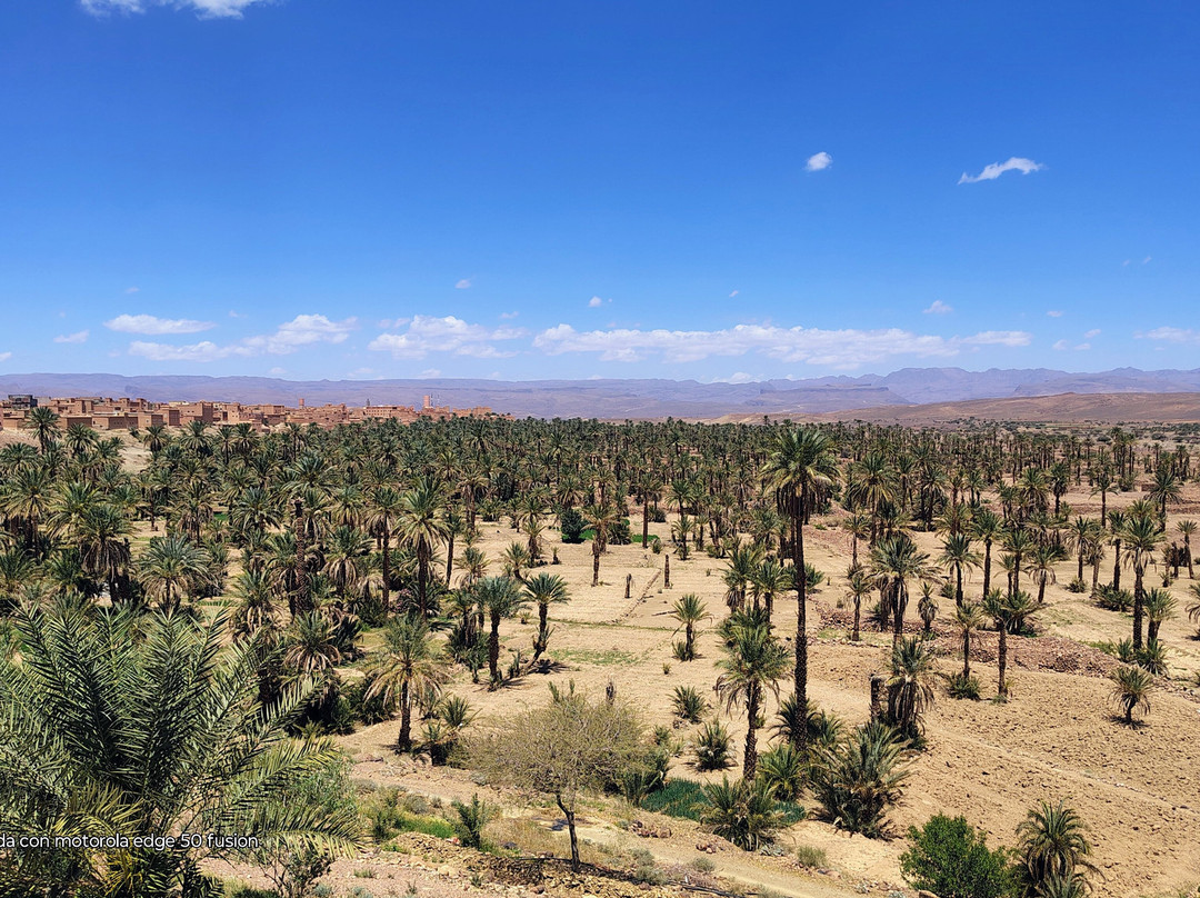 Morocco Everywhere Tours-非斯必去景点
