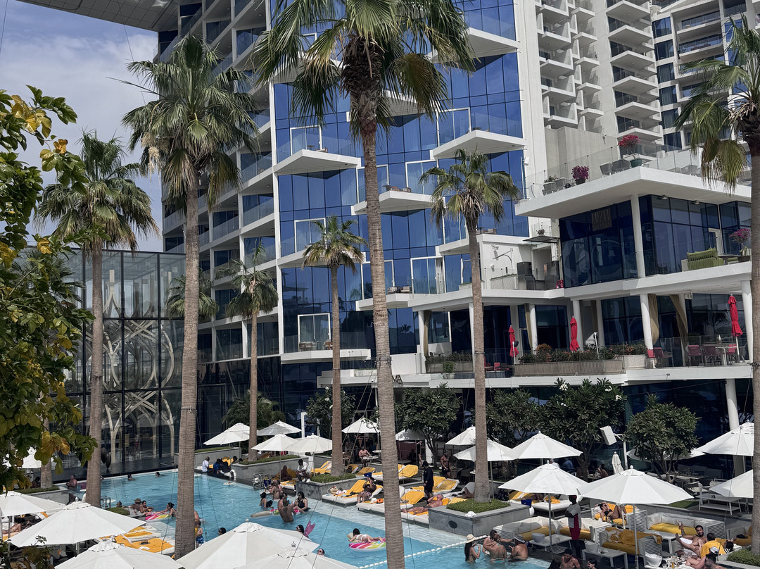 The Social Pool At Five Palm Jumeirah-迪拜酋长国必去景点