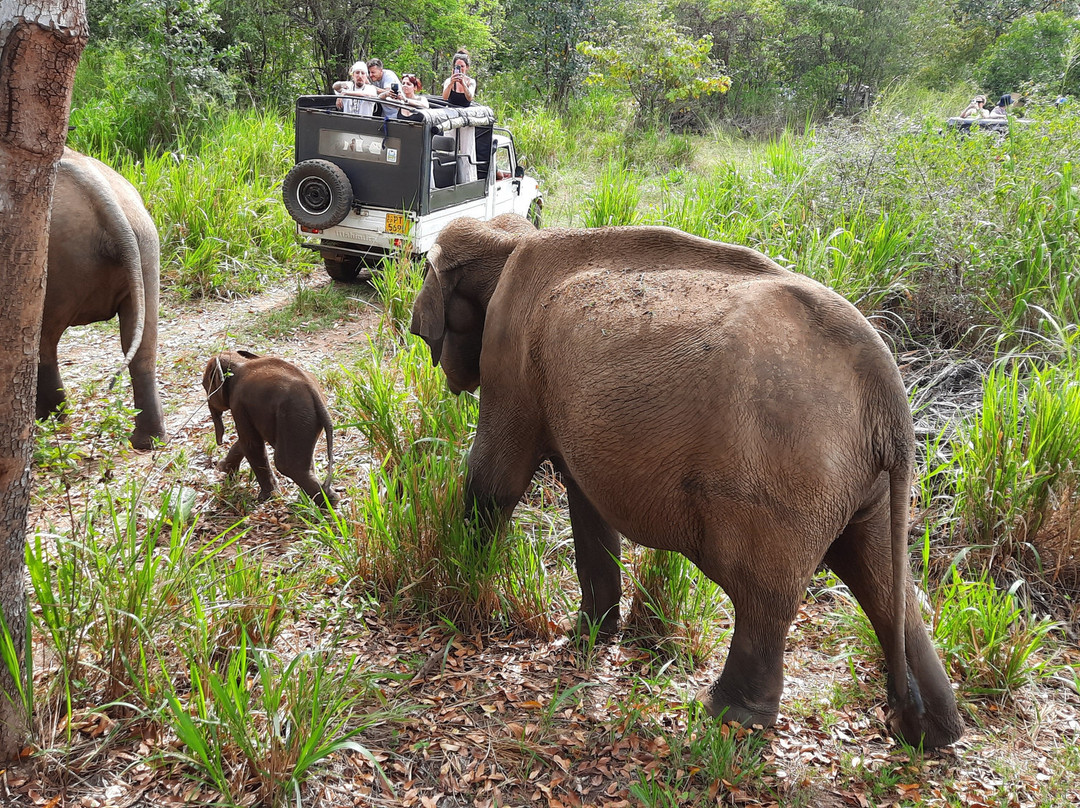 Sri Lanka Wide Tours-科伦坡必去景点