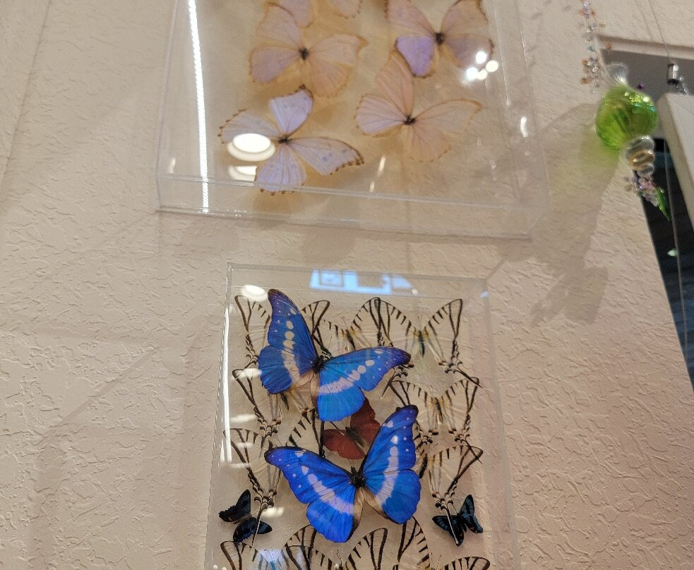 Marietta Museum Of Art And Whimsy-萨拉索塔必去景点