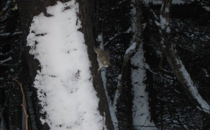 Amherst Point Bird Sanctuary-Amherst必去景点