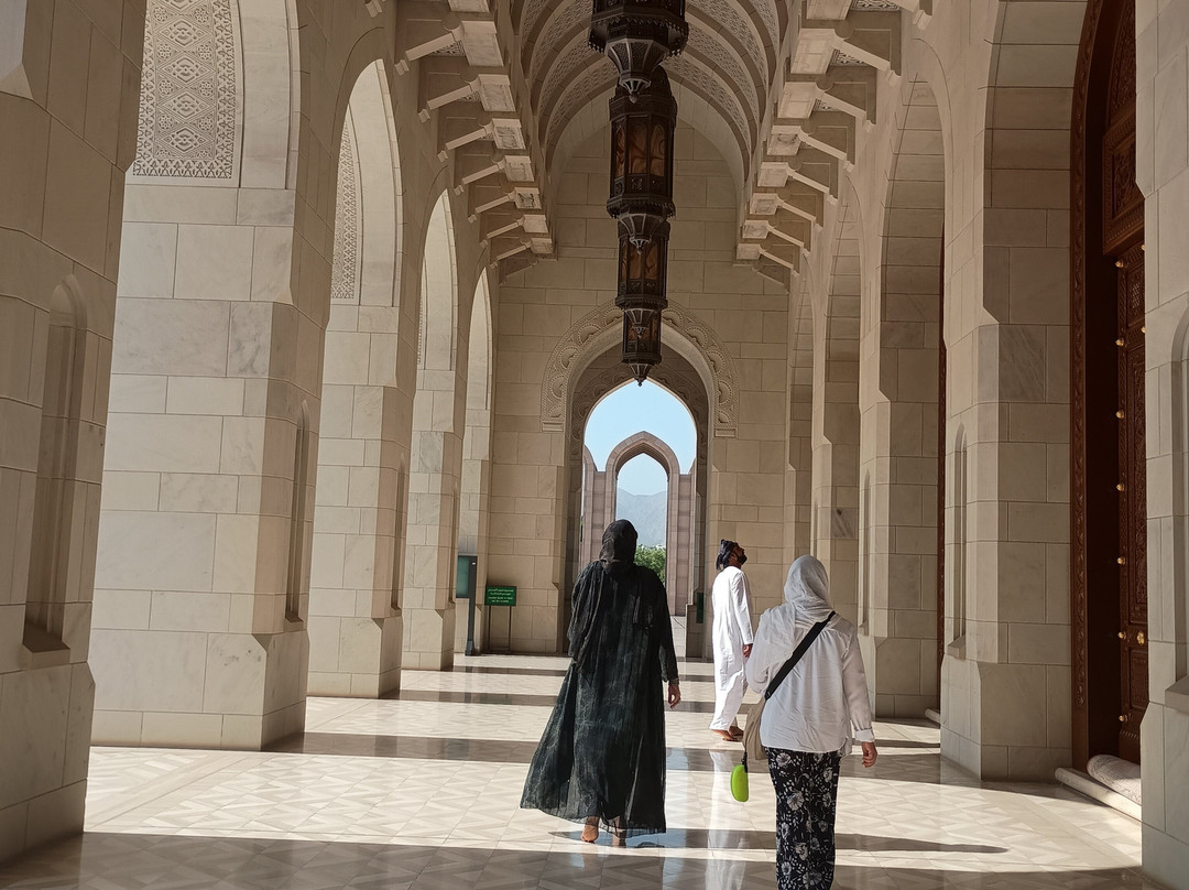 Desert Camels Adventure Tours-尼日瓦必去景点