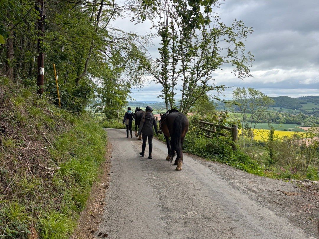 Freerein Riding Holidays-Clyro必去景点