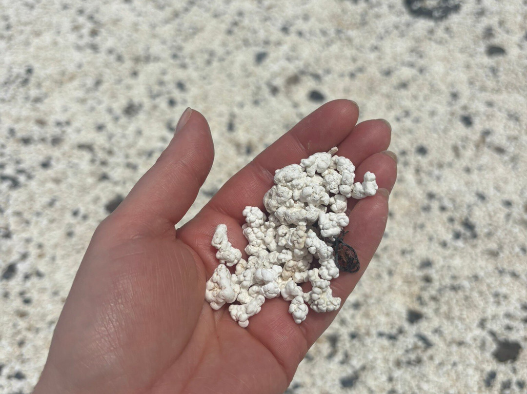 Popcorn Playa-科拉雷侯必去景点