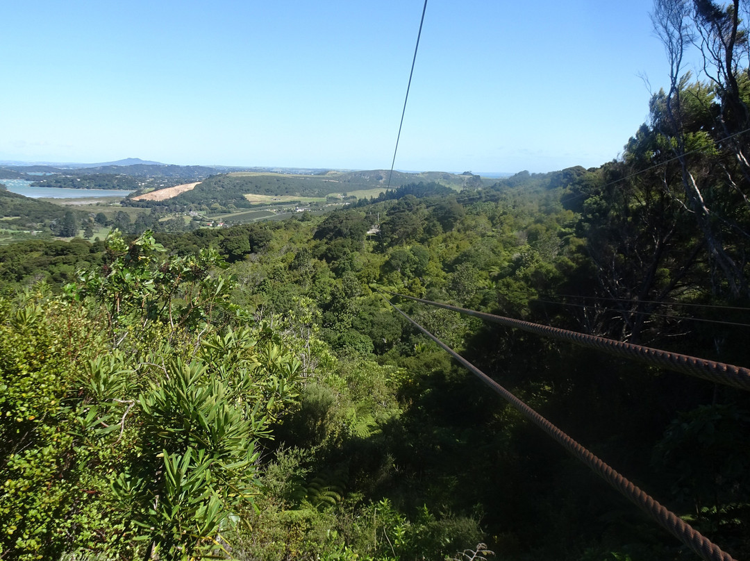 Ecozip Adventures Waiheke Island-欧尼罗亚必去景点
