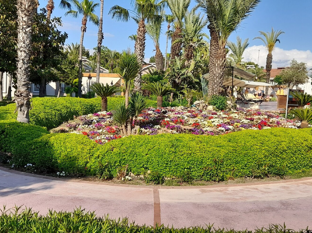 Club Hotel Turan Prince World主图