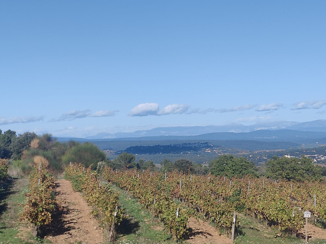Domaine de Deffends-Saint-Maximin-la-Sainte-Baume必去景点