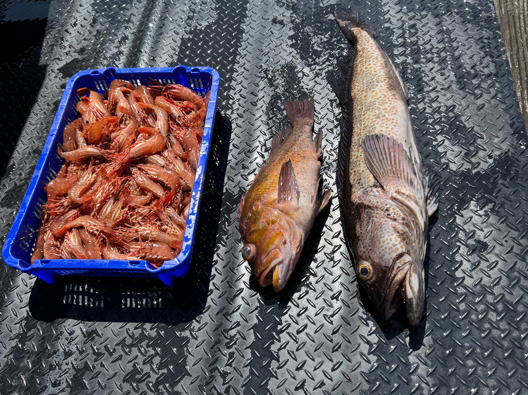 Island Pursuit Sport Fishing-Comox必去景点