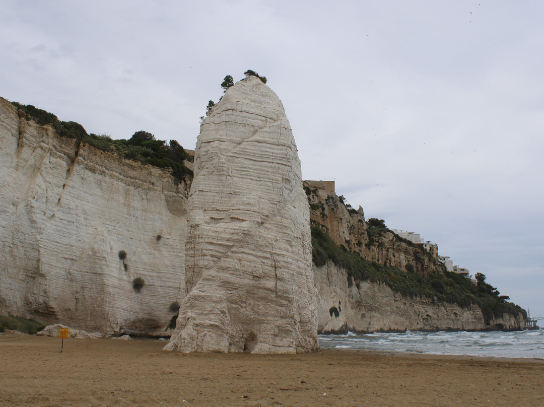 Spiaggia del Pizzomunno-维耶斯泰必去景点