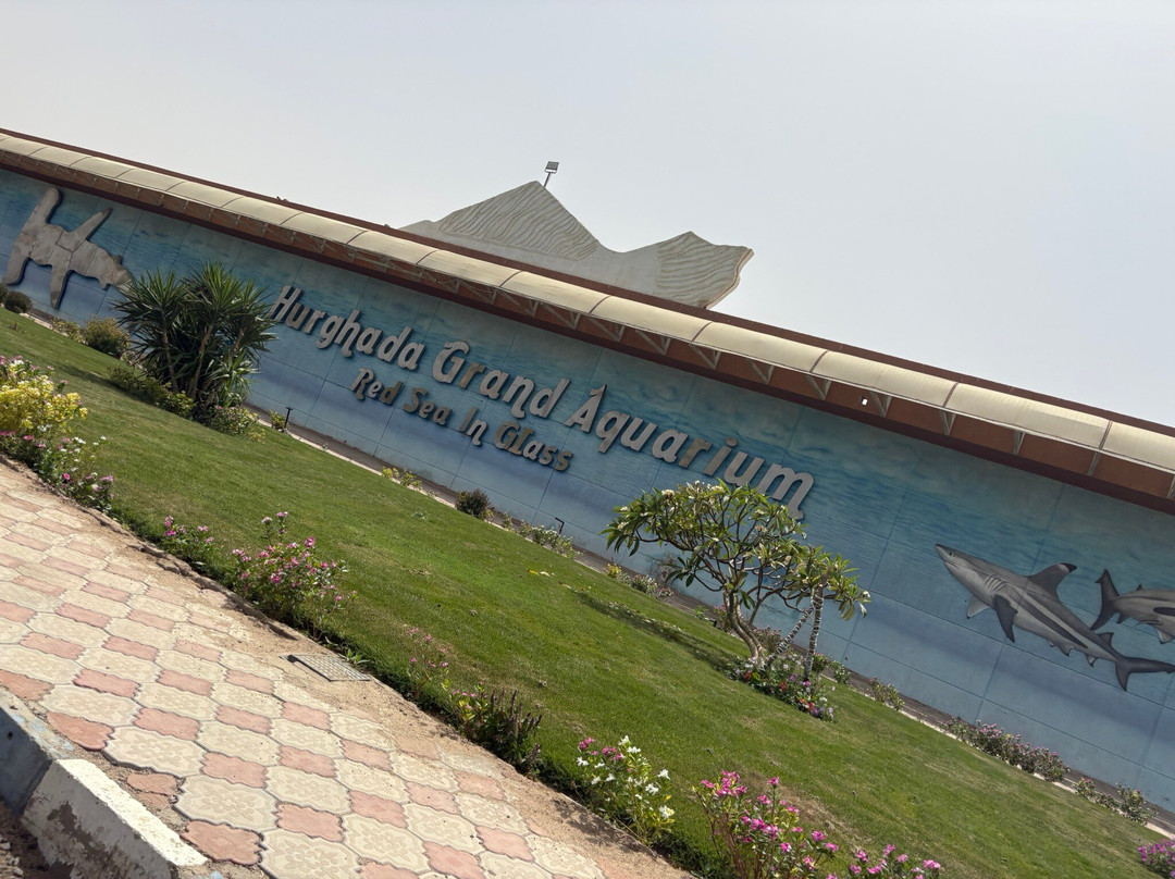 Hurghada Grand Aquarium-赫尔格达必去景点