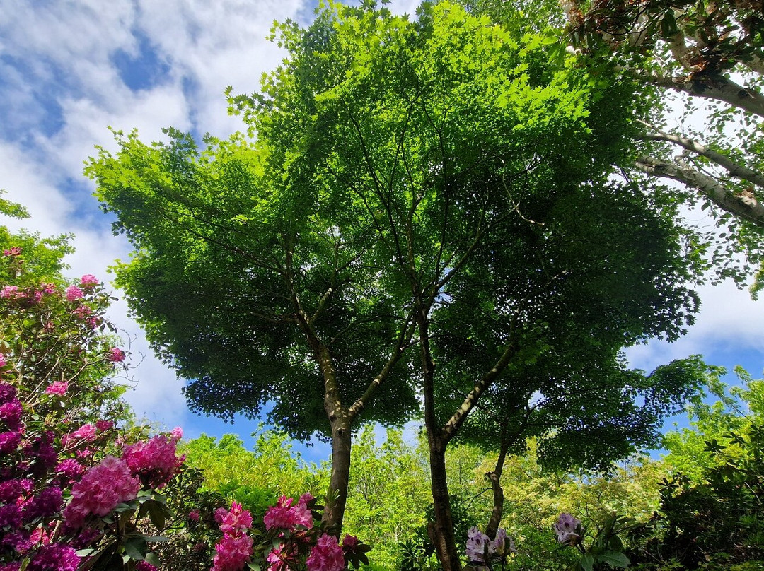 Lea Gardens-马特洛克必去景点