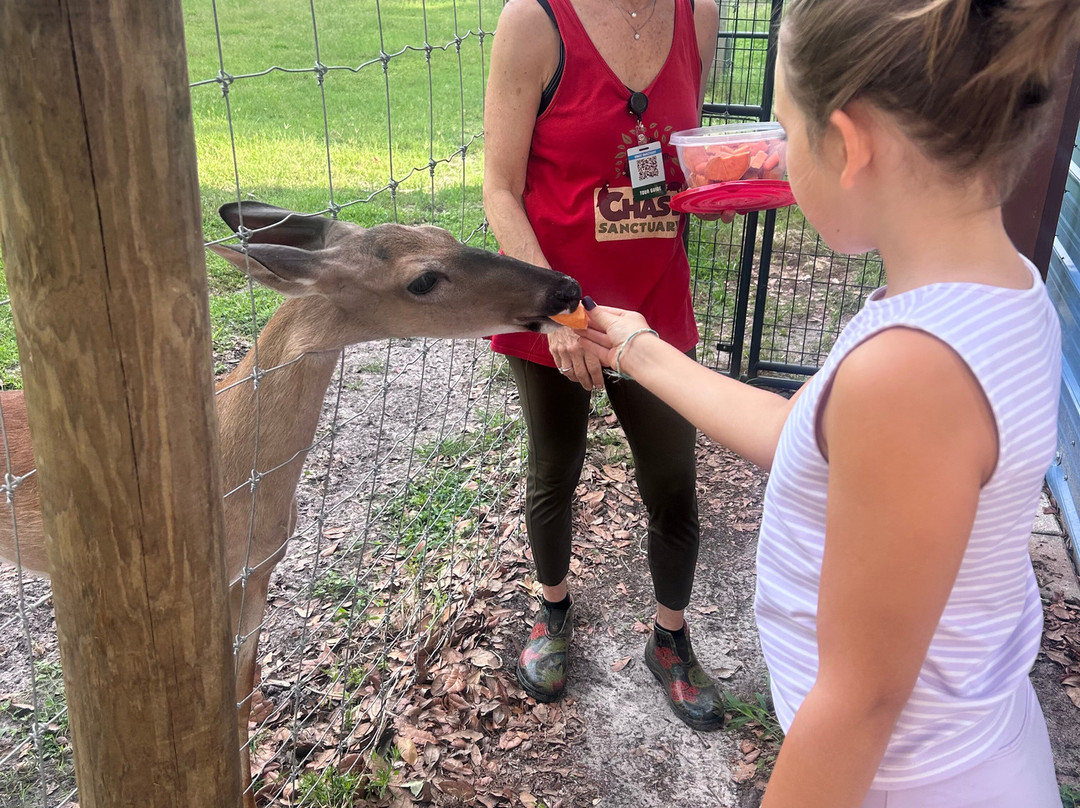 Chase Animal Rescue And Sanctuary-Webster必去景点