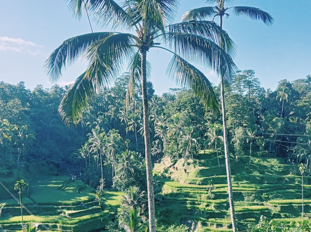 Bali Qhiu Holiday-登巴萨必去景点