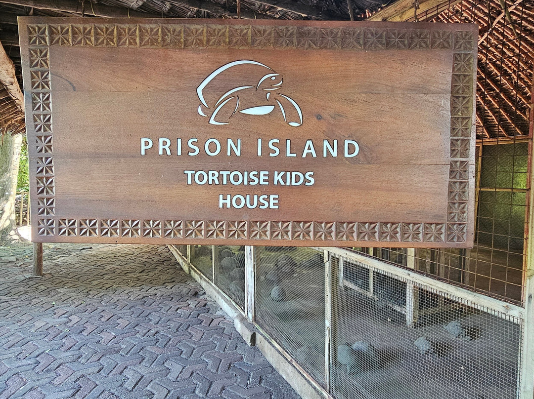 Prison Island - Changuu Private Island-石头城必去景点