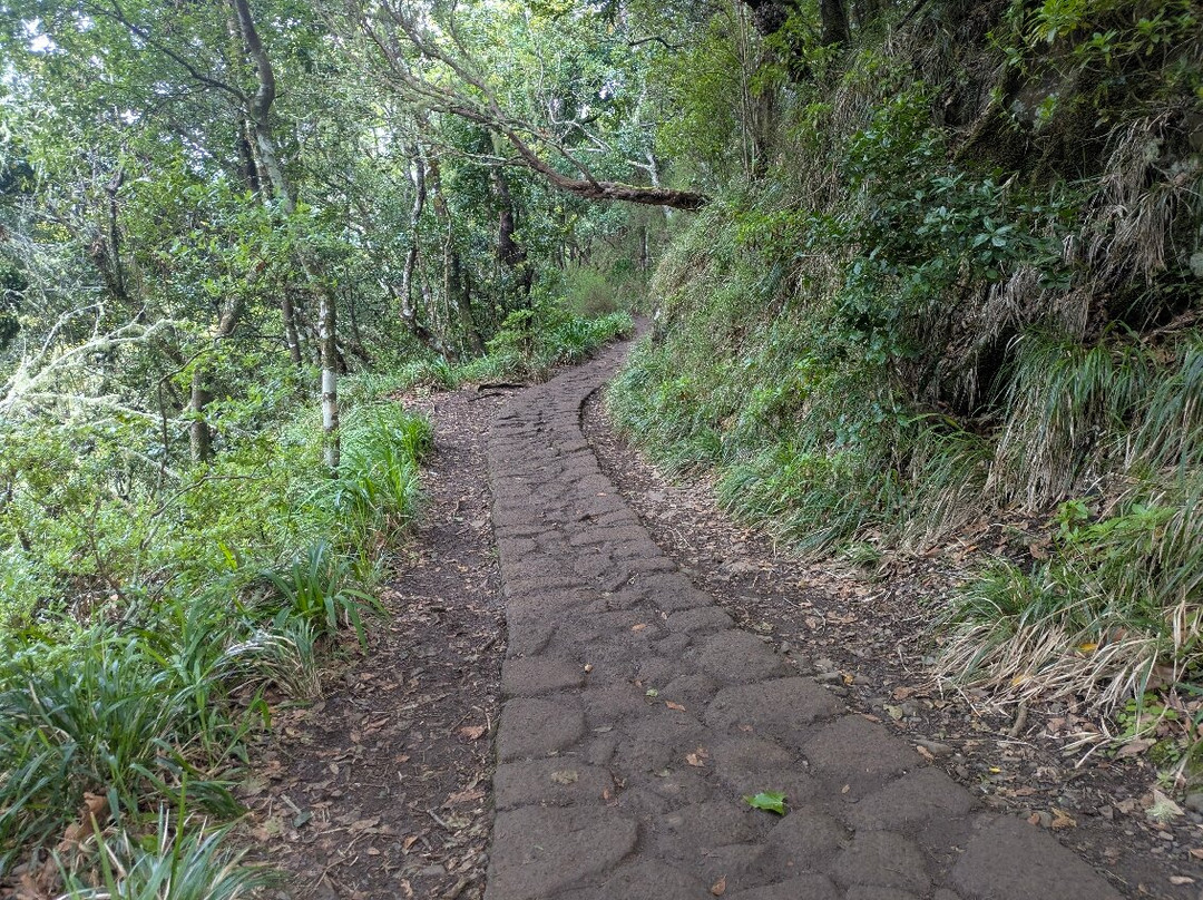 PR11 Vereda dos Balcões-Ribeiro Frio必去景点