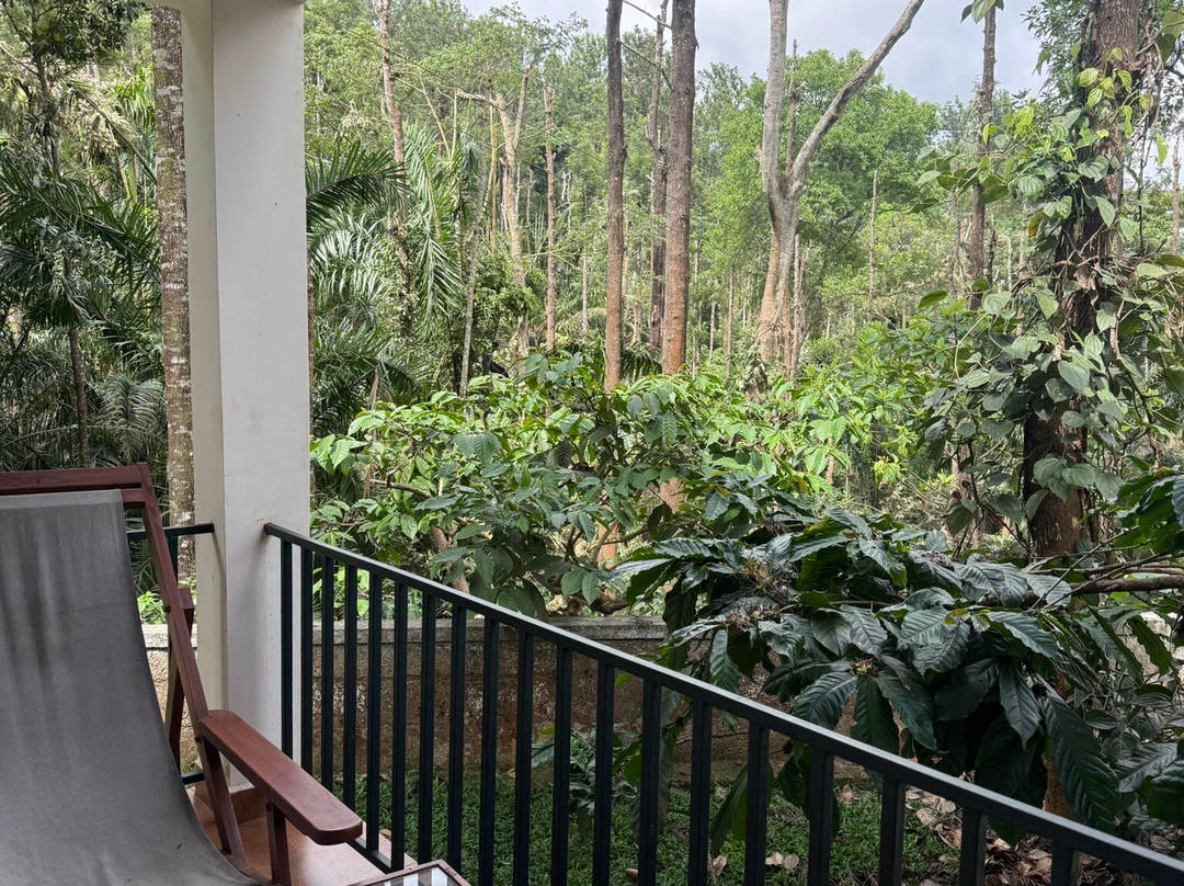 Natura Vista A Plantation Stay主图