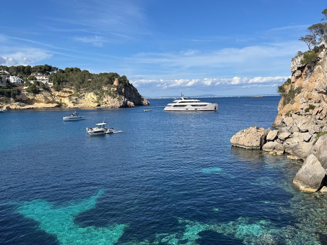 Playa Portals Vells-卡尔维亚必去景点