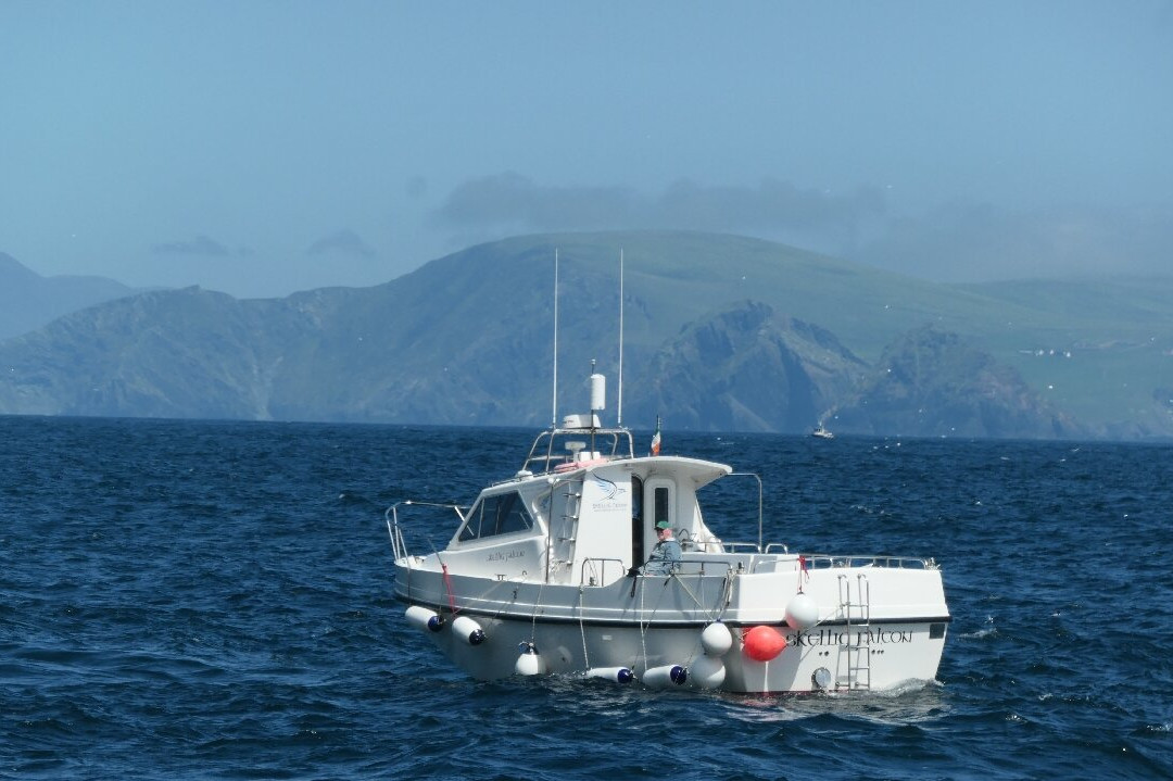 Skellig Falcon-Ballinskelligs必去景点