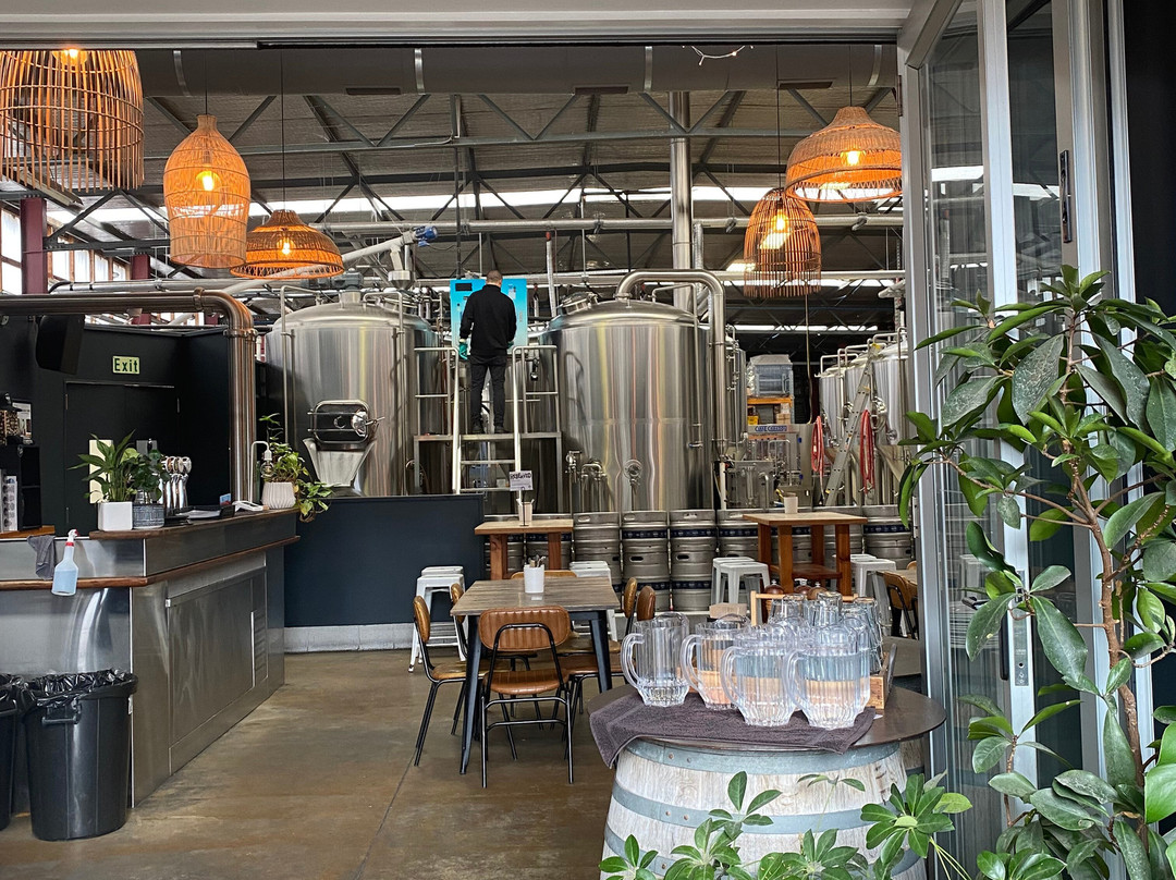 Scotts Brewing Co