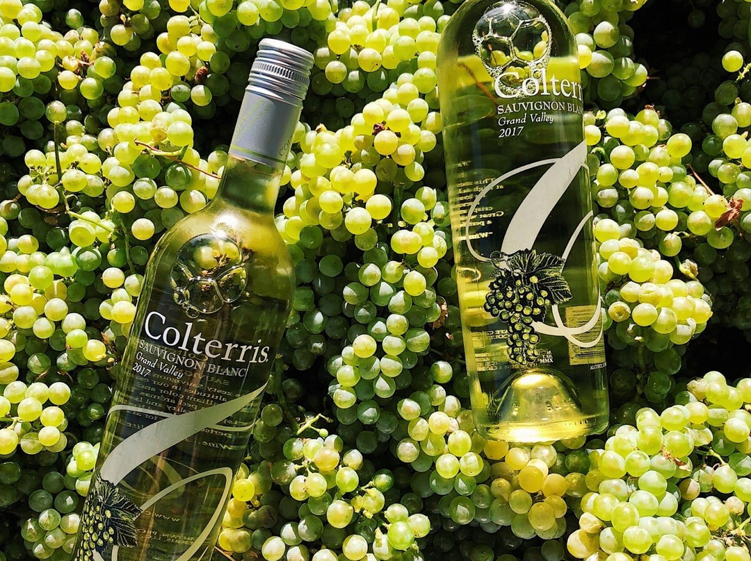 Colterris Winery-Palisade必去景点