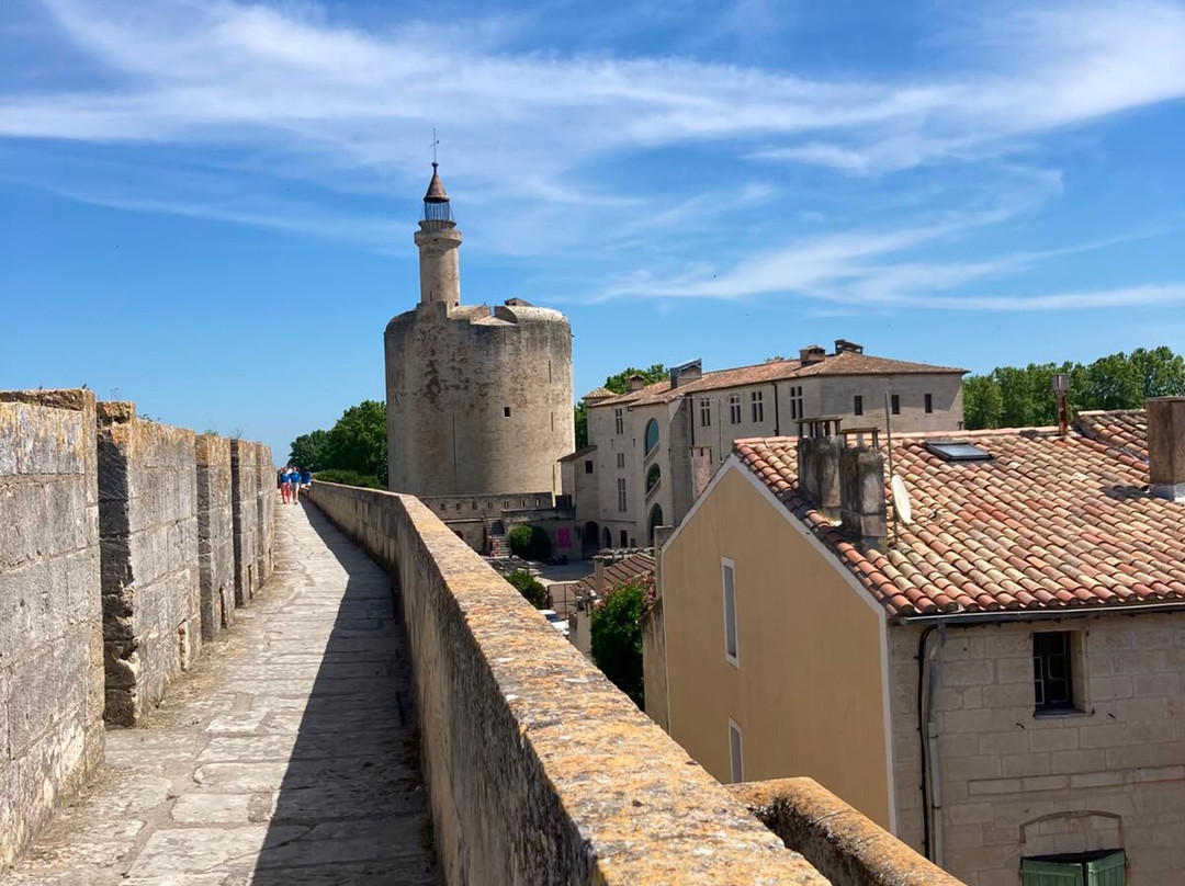 Towers and Ramparts of Aigues-Mortes-艾格莫尔特必去景点